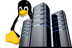 Web Hosting Pakistan